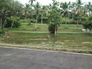 හෝමාගම හොරගල බස් පාරෙන් බිම් කොටස් විකිණීමට