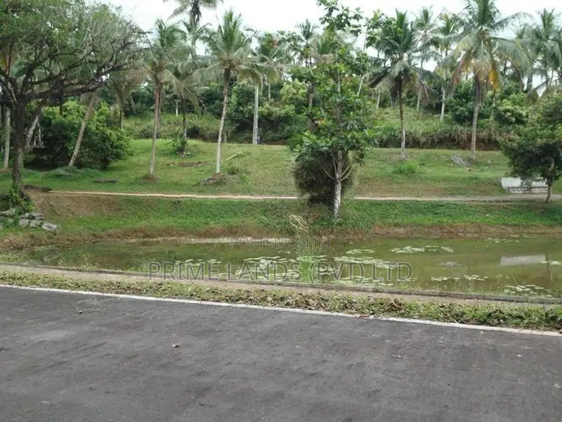 හෝමාගම හොරගල බස් පාරෙන් බිම් කොටස් විකිණීමට
