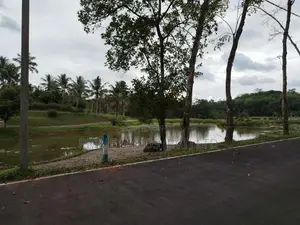 හෝමාගම හොරගල බස් පාරෙන් බිම් කොටස් විකිණීමට