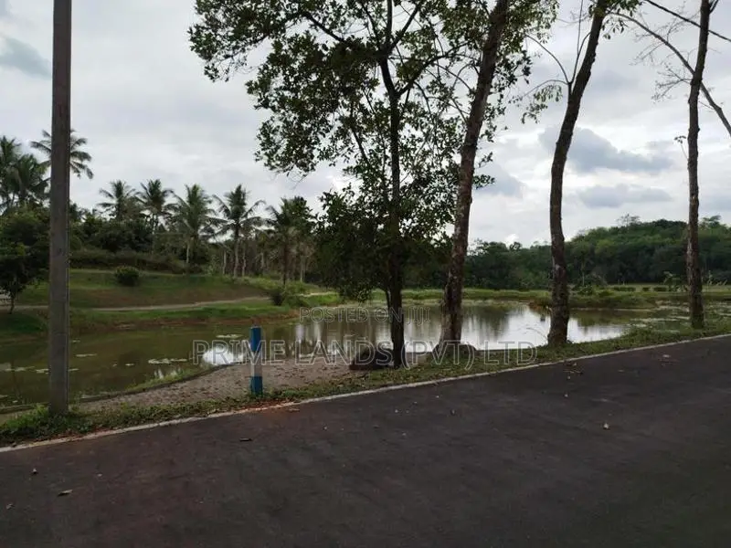 හෝමාගම හොරගල බස් පාරෙන් බිම් කොටස් විකිණීමට