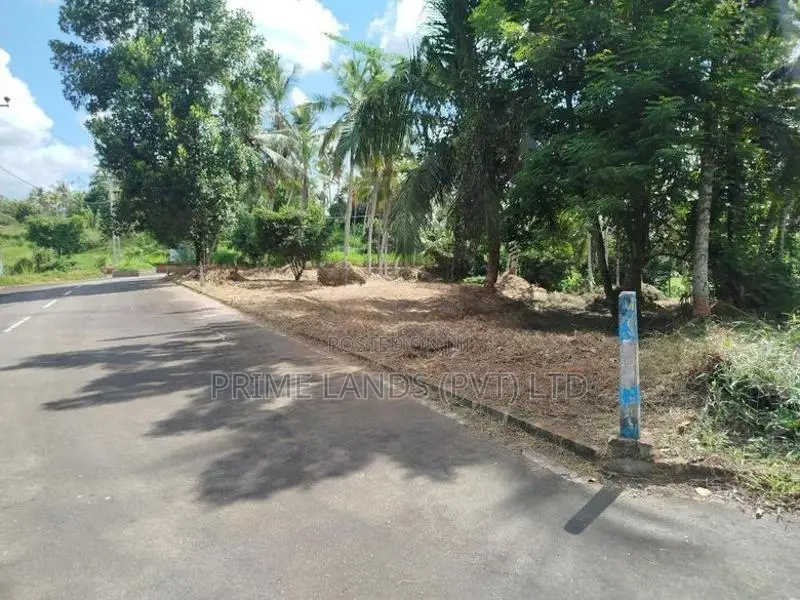 හෝමාගම හොරගල බස් පාරෙන් බිම් කොටස් විකිණීමට