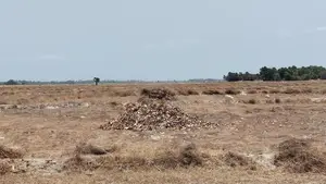 நெல் வயல் விற்பனைக்கு