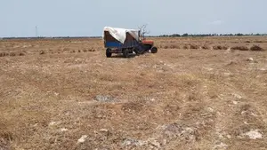 நெல் வயல் விற்பனைக்கு