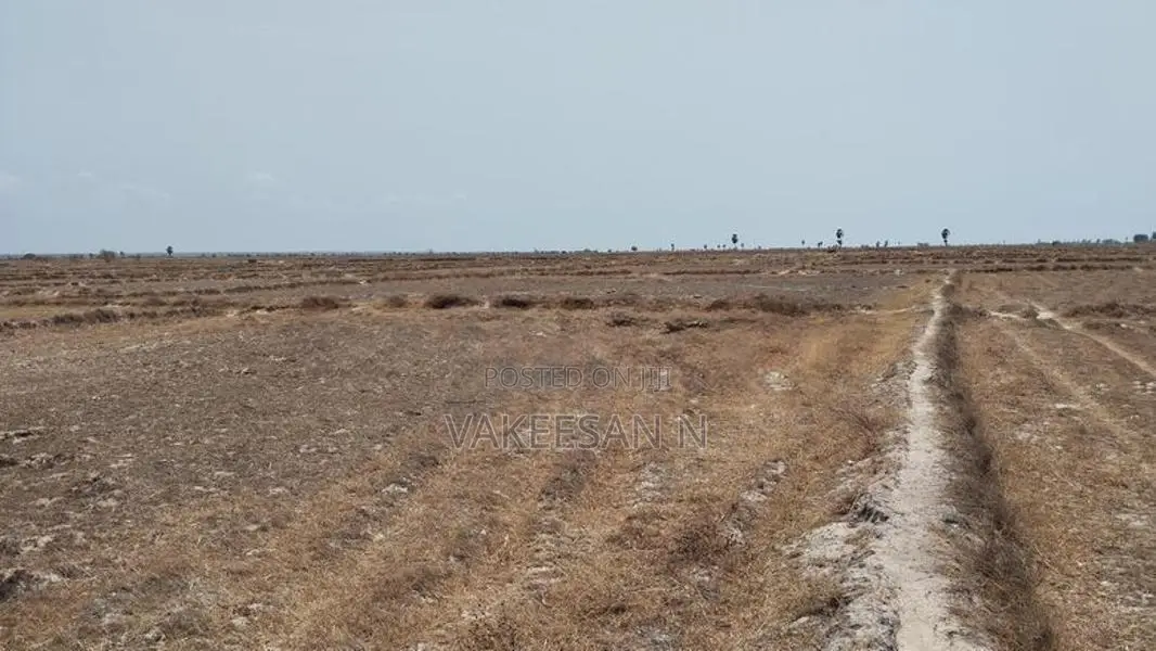 நெல் வயல் விற்பனைக்கு