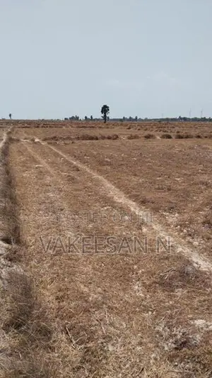நெல் வயல் விற்பனைக்கு