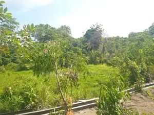 අම්බලන්ගොඩ නගරයෙන් ඉඩමක්