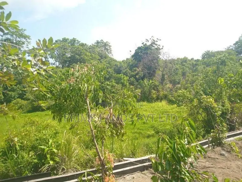 අම්බලන්ගොඩ නගරයෙන් ඉඩමක්