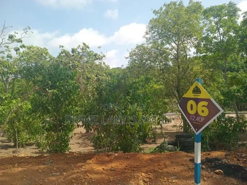 අම්බලන්ගොඩ නගරයෙන් ඉඩමක්