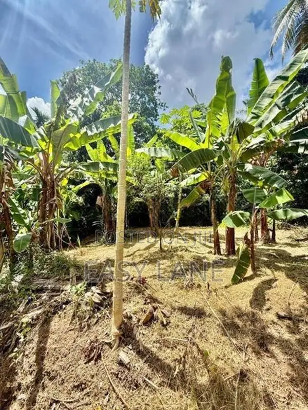 ගොඩගම පාදුක්ක පාරෙන් වටිනා ඉඩමක් විකිණීමට