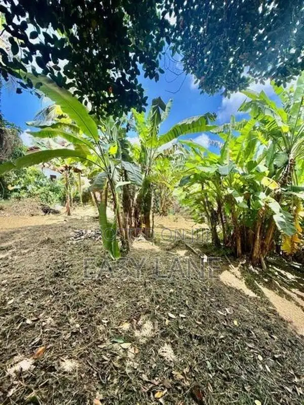 ගොඩගම පාදුක්ක පාරෙන් වටිනා ඉඩමක් විකිණීමට