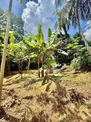 ගොඩගම පාදුක්ක පාරෙන් වටිනා ඉඩමක් විකිණීමට