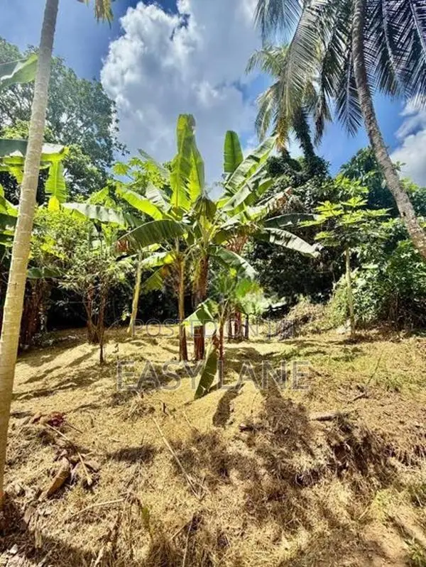 ගොඩගම පාදුක්ක පාරෙන් වටිනා ඉඩමක් විකිණීමට