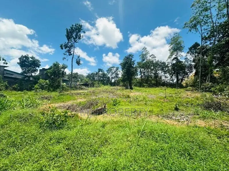 ( YC-1206) Valuable Commercial Land Rent in Panagoda