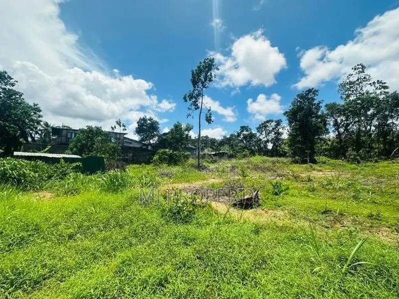 ( YC-1206) Valuable Commercial Land Rent in Panagoda