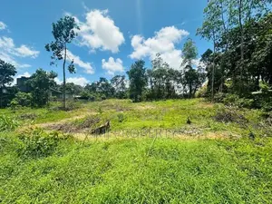 ( YC-1206) Valuable Commercial Land Rent in Panagoda