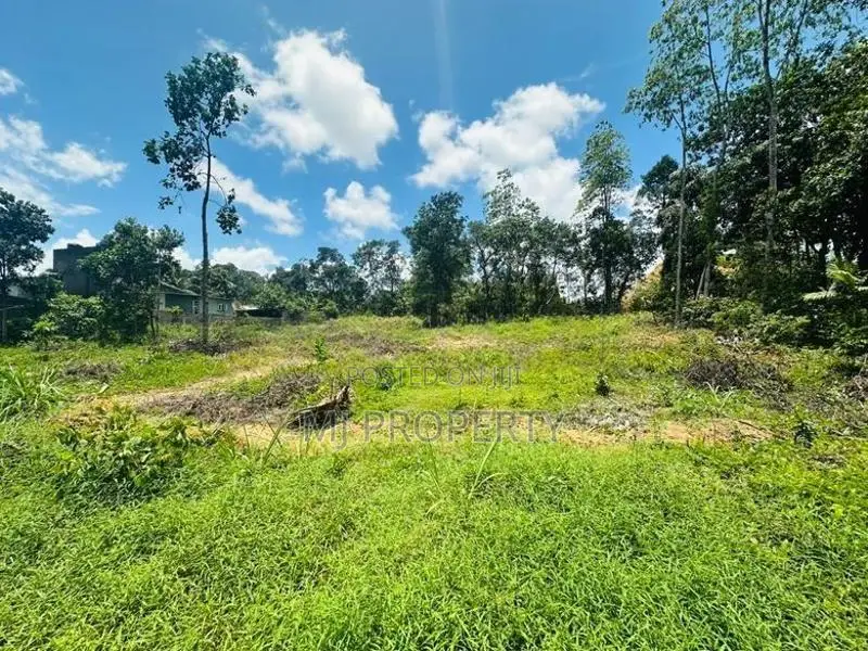 ( YC-1206) Valuable Commercial Land Rent in Panagoda