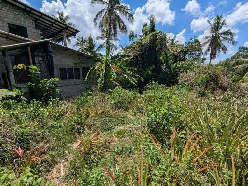 ගම්පහ යාගොඩ දුම්රිය ස්ථානය ආසන්නයෙන් වටිනා ඉඩමක් විකිණීමට