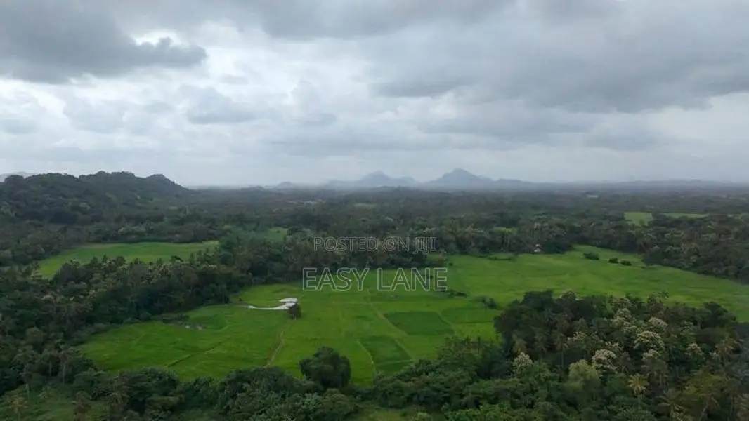 කලුණික පරිසරයක සුපිරි ඉඩමක් සමඟ දෙමහල් නිවසක් විකිණීමට