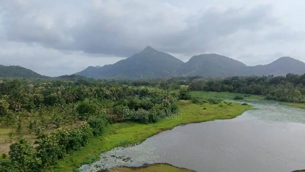 කලුණික පරිසරයක සුපිරි ඉඩමක් සමඟ දෙමහල් නිවසක් විකිණීමට