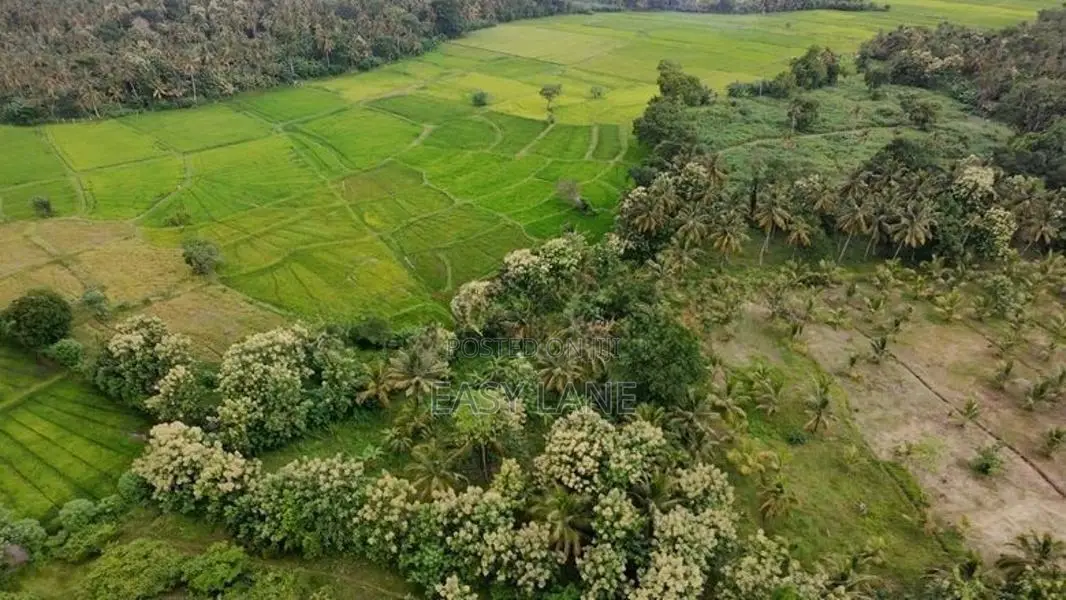 කලුණික පරිසරයක සුපිරි ඉඩමක් සමඟ දෙමහල් නිවසක් විකිණීමට