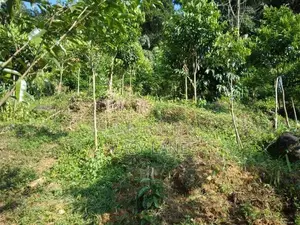 බුලත්කොහුපිටිය අඹමල්ල ප්‍රදේශයෙන් විකිණීමට ‎