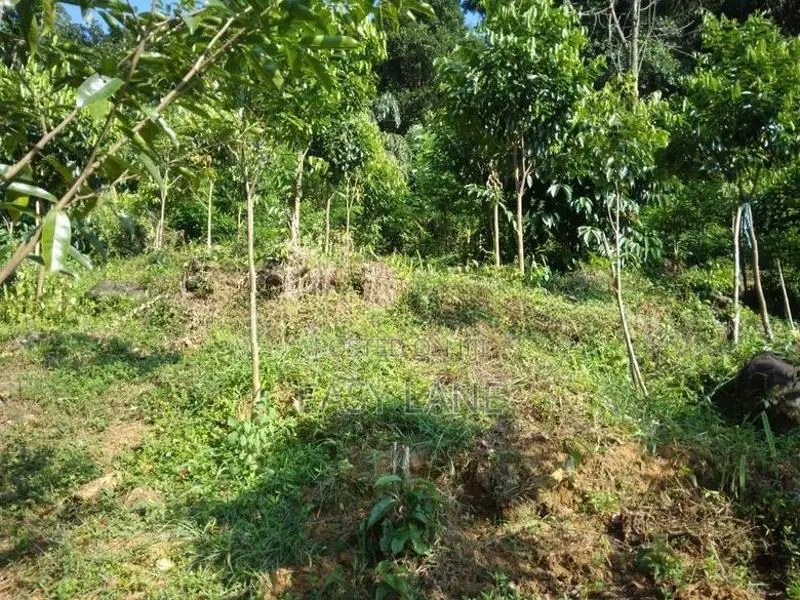 බුලත්කොහුපිටිය අඹමල්ල ප්‍රදේශයෙන් විකිණීමට ‎