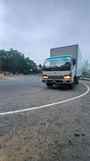 Isuzu NPR58 1992 Lorry (Used)