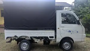 Mahindra Maxximo Plus VX 2015 Lorry (Used)