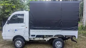 Mahindra Maxximo Plus VX 2015 Lorry (Used)