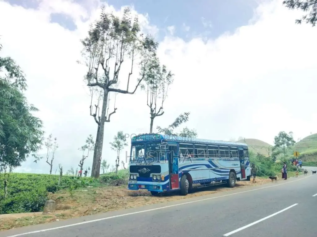 Ashok-Leyland Viking 2011 Bus (Used)