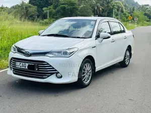 Toyota Axio 2015 Car (Used)