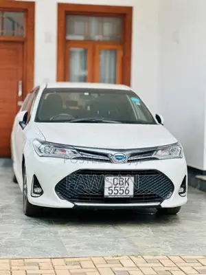 Toyota Axio 2018 Car (Used)