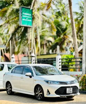 Toyota Axio 2018 Car (Used)