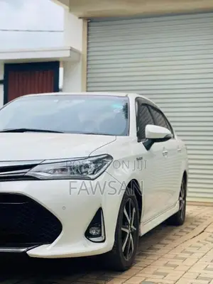 Toyota Axio 2018 Car (Used)