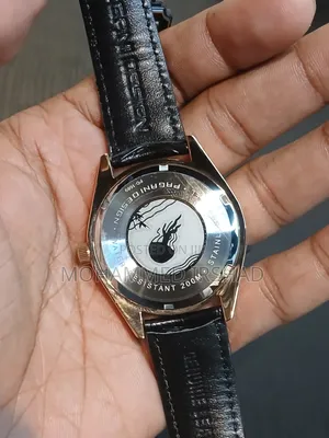 Pagani Design PD-1689 Mens Original Watch