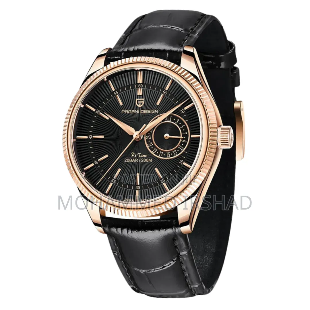 Pagani Design PD-1689 Mens Original Watch