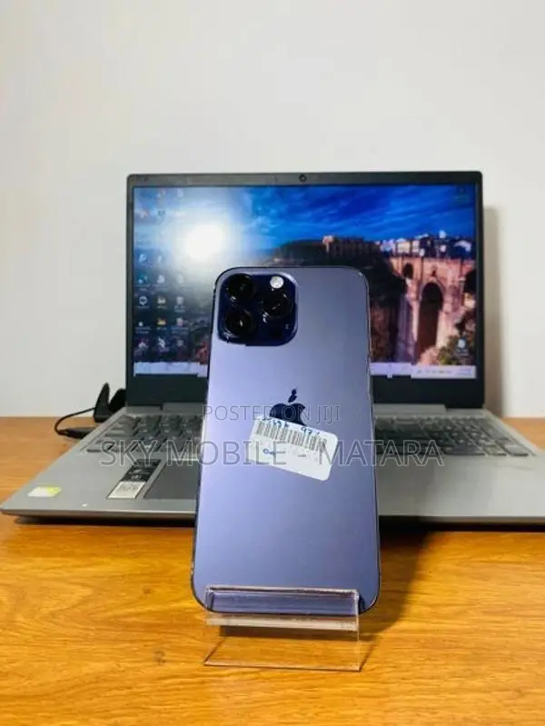 Apple iPhone 13 Pro Max 256GB (Used)
