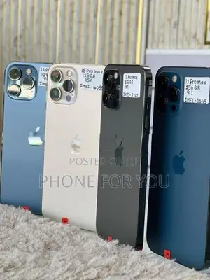 Apple iPhone 12 Pro Max (Used)
