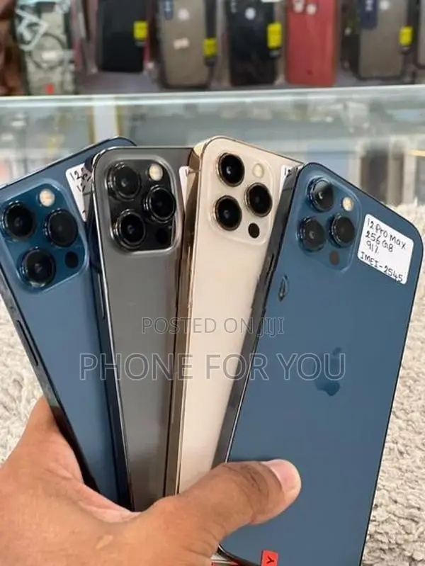 Apple iPhone 12 Pro Max (Used)