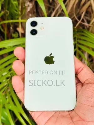Apple iPhone 12 (Used)