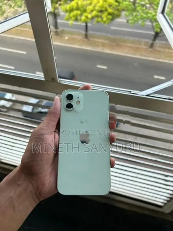 Apple iPhone 12 (Used)
