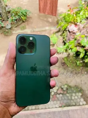Apple iPhone 13 Pro (Used)