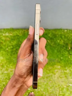 Apple iPhone 12 Pro (Used)