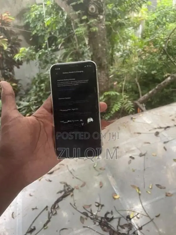 Apple iPhone 11 (Used)