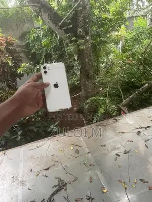 Apple iPhone 11 (Used)