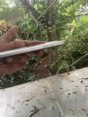 Apple iPhone 11 (Used)