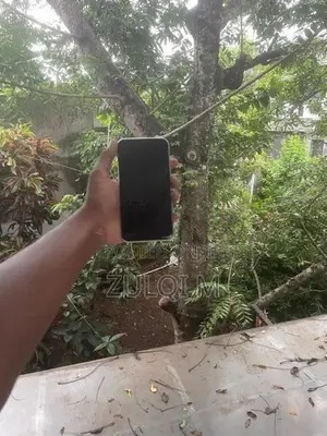 Apple iPhone 11 (Used)