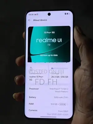 Realme 13 Pro Plus 256GB (Used)