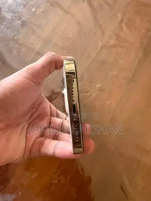 Apple iPhone 14 Pro Max (Used)