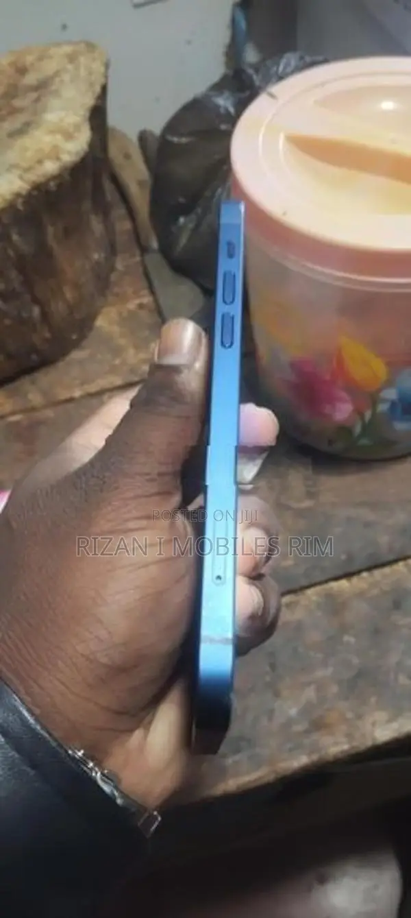 Apple iPhone 12 (Used)